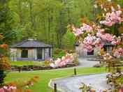 The cabins