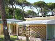 Cabins
