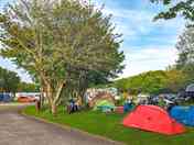 Tent area