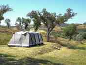Spacious pitches under cork or oak
