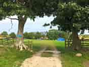 Campsite through the trees (added by manager 06 Jun 2022)