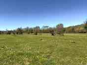 Family camping field