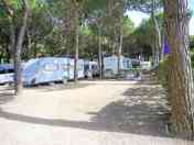 Fully serviced gravel and sand touring pitch