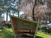 Bicycle village pod