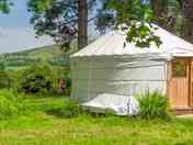 The yurt sheltered by trees (added by manager 06 Jun 2022)