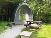 Lovely cosy pod (added by visitor 01 Aug 2021)