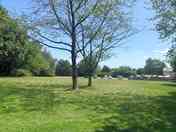 Image of our paddock, where caravans & motorhomes can pitch up