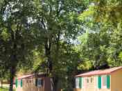 Cottages in the woods