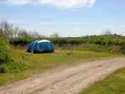 Electric grass tent pitch