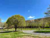 Pitches surrounded by trees