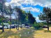 Tree-shaded pitches