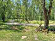 Pitches in the trees