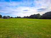 Acres of green fields to wander…