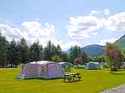 Summer camping