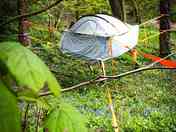 Treetop tent