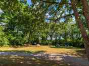 Shaded tent pitches