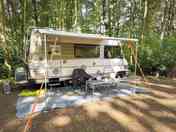 Woodland camper pitch