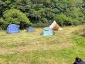 Bell tent for rent