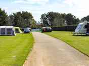 Grass pitches