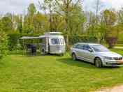 Grass pitches