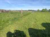 Adult only field