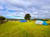 Tent Pitch Area