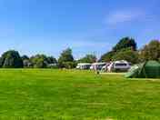 Grass pitch