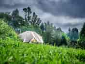 Tent surrounded by greenery (added by manager 05 Oct 2021)