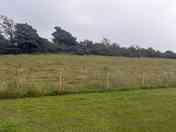 Grass pitch (added by manager 21 Jul 2023)