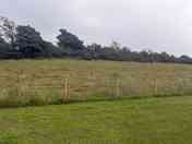 Grass pitch