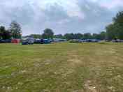 Shelduck area 1