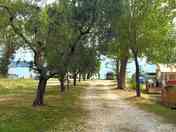 Pitches overlooking the lake
