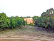 Pitching area