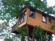 The treehouse