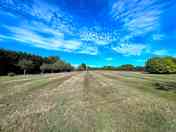 Grassy space