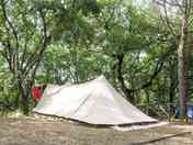 Plenty of space for large tents