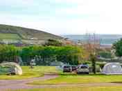 Grass pitches