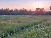 Nestled in the tranquil North Paddock, these pitches offer privacy for grown-up campers.