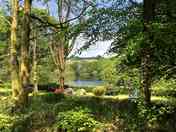 Pitches with a lake view
