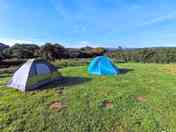 Tent area
