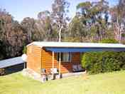 Goanna exterior