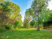 Grass pitches among the trees