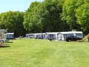 Spacious pitches surrounded by trees