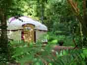 Woodland yurt set in its own private glade (added by manager 22 Jul 2015)