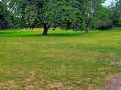 Pitching area