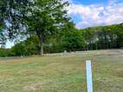 Grass non-electric