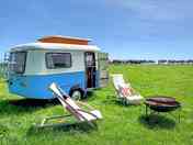 Blueberry Eriba Caravan with cows filing past the pitch