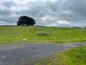 View of the site