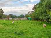 The Old Chapel seen from the field (added by manager 30 Mar 2023)