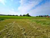Mown pitch looking over the barley fields